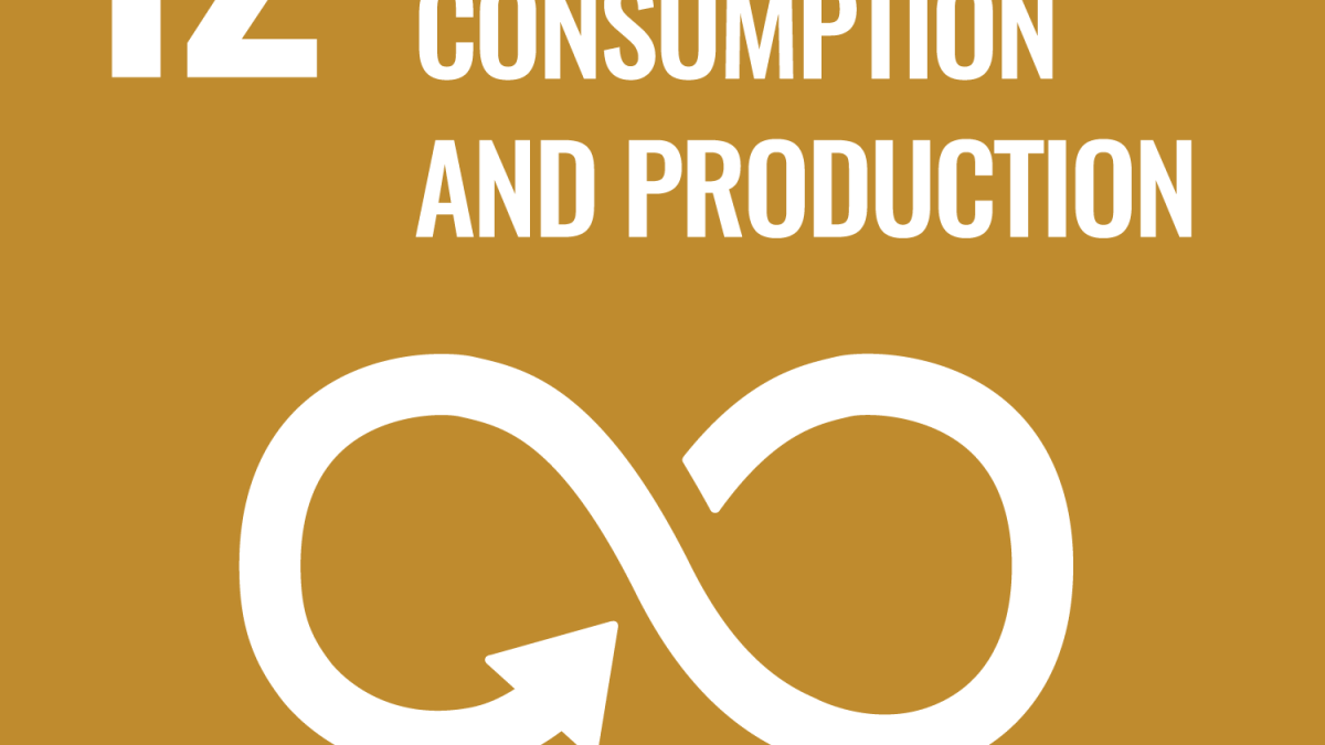 Responsible Consumption and Production