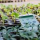 9 Sustainable Agribusiness Sectors Start-Ups can Capitalize on. PRANA