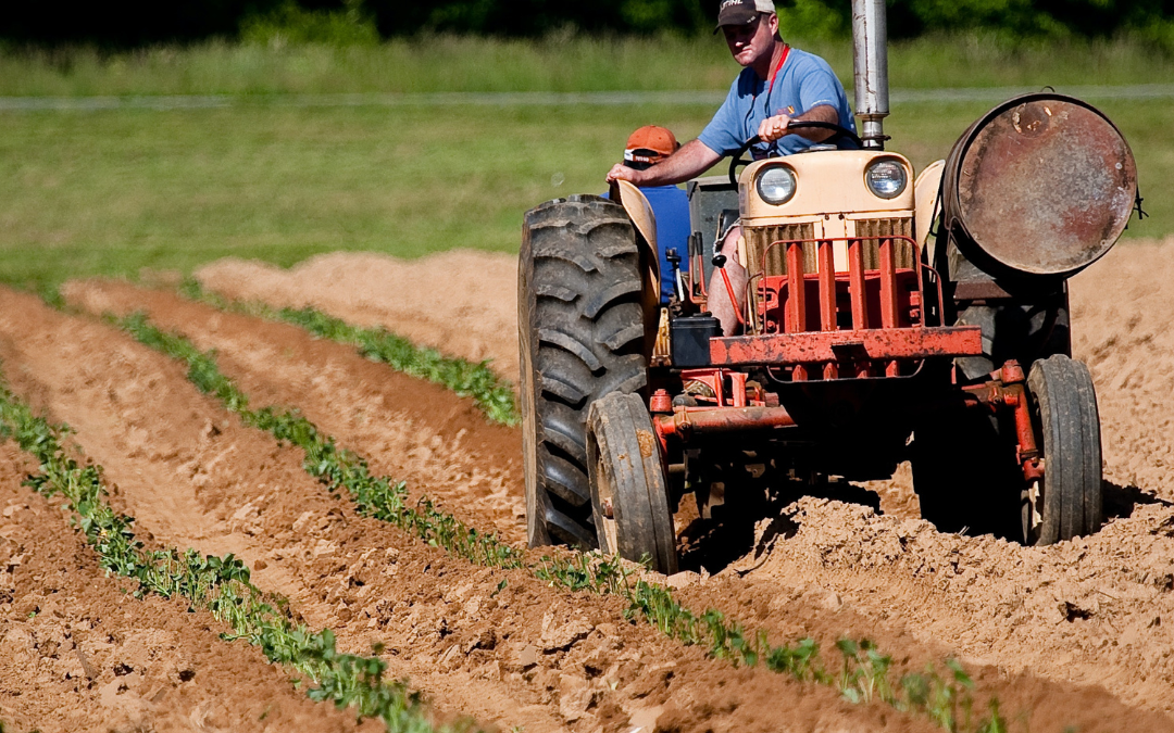 soil disturbance grants.pranabusiness.co