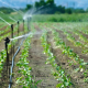 irrigation technology grants.pranabusiness.co