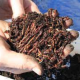 Vermicomposting grants.pranabusiness.co