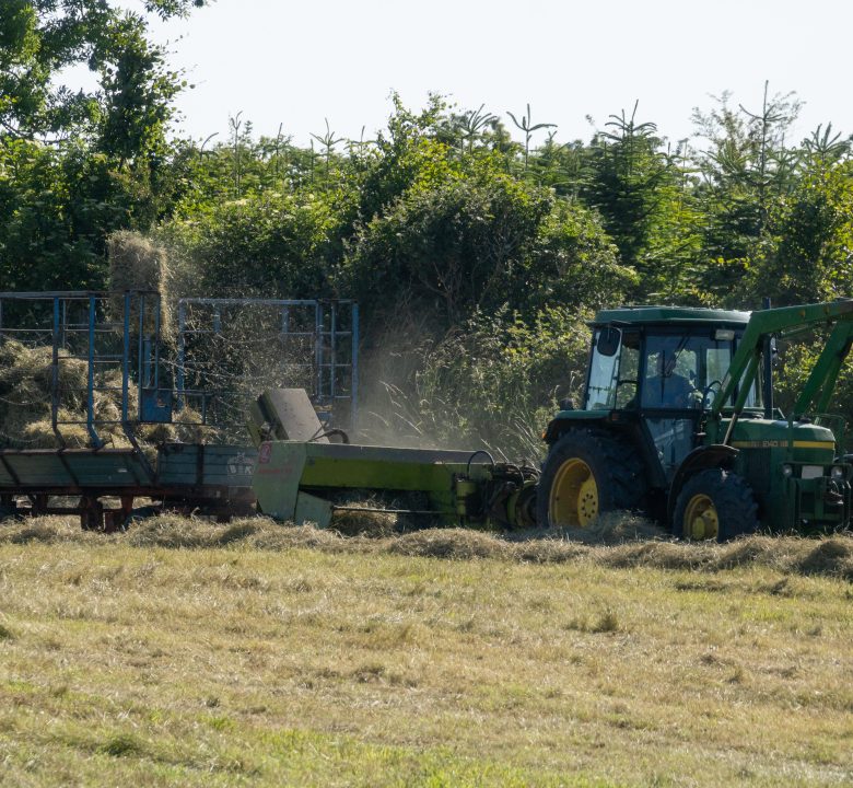 composting pest control